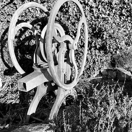 Tatil Evi La Voute Du Dragon Piscine 26 Personnes